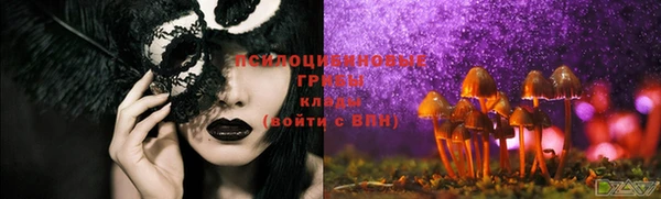 дмт Краснослободск