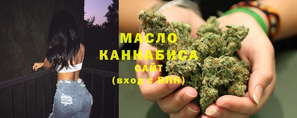 дмт Краснослободск