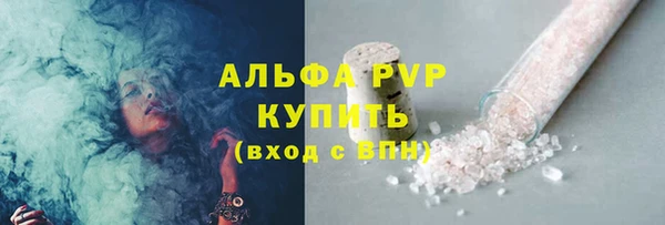 дмт Краснослободск