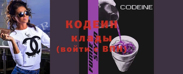 дмт Краснослободск