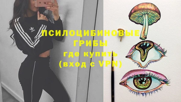 ПСИЛОЦИБИНОВЫЕ ГРИБЫ Красноперекопск