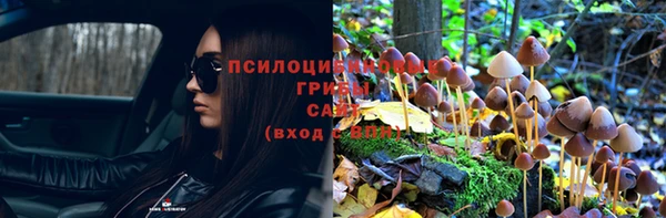 дмт Краснослободск